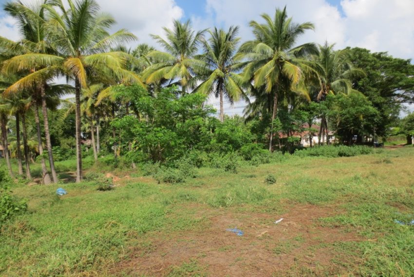 Land for Sale (4)