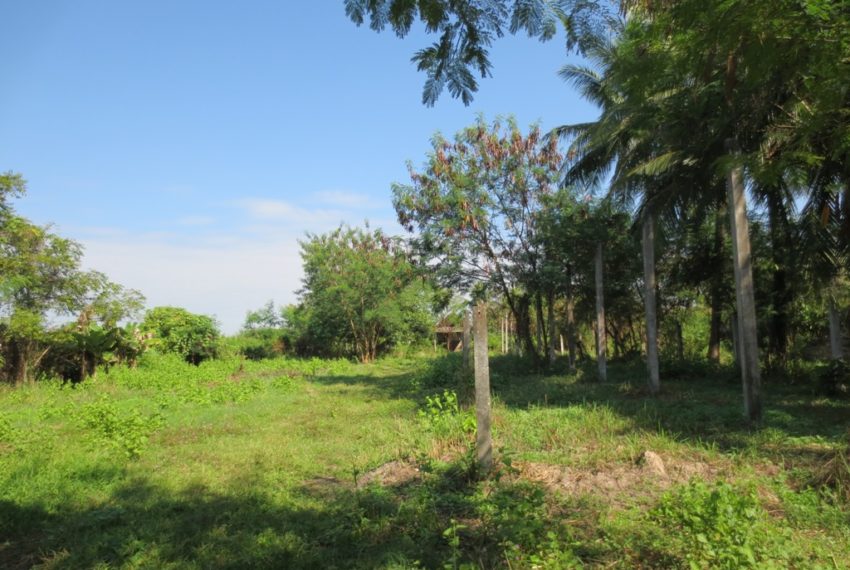 Land for Sale (4)
