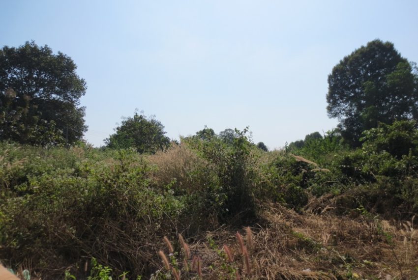 Land for Sale (4)