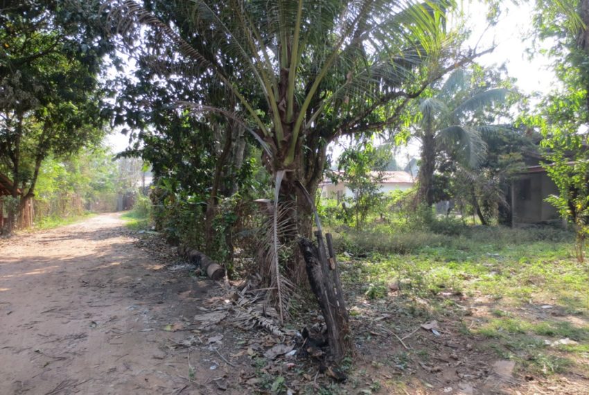 Land for Sale (4)