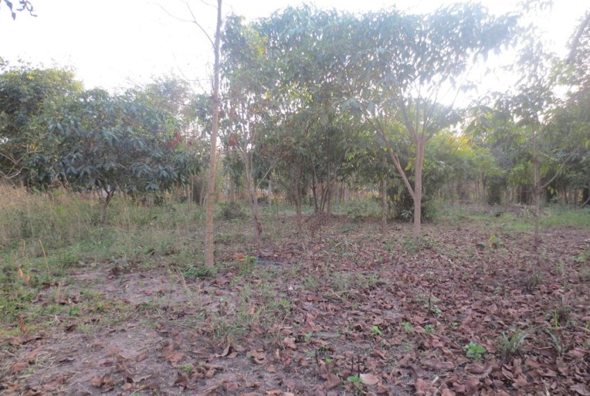 Land for Sale (4)