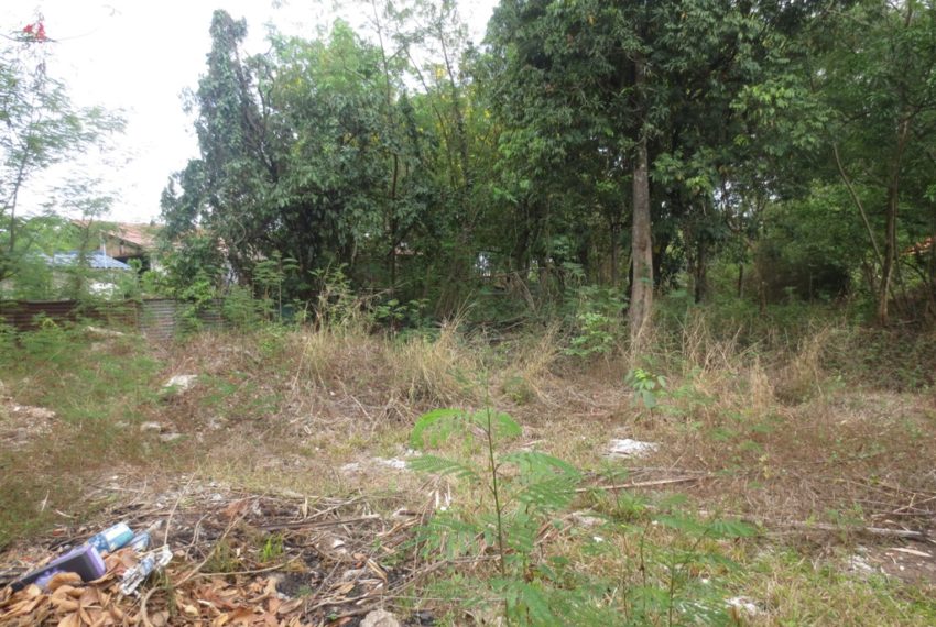 Land for Sale (4)