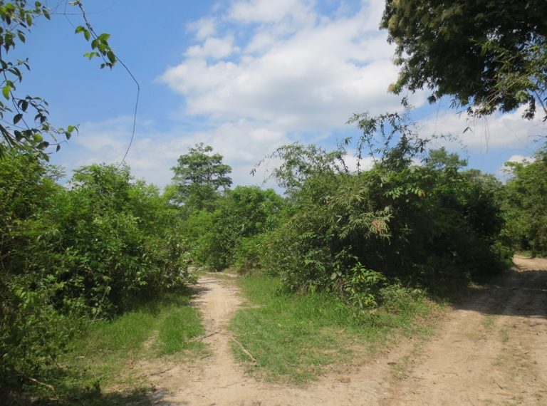 Land for Sale  (4)
