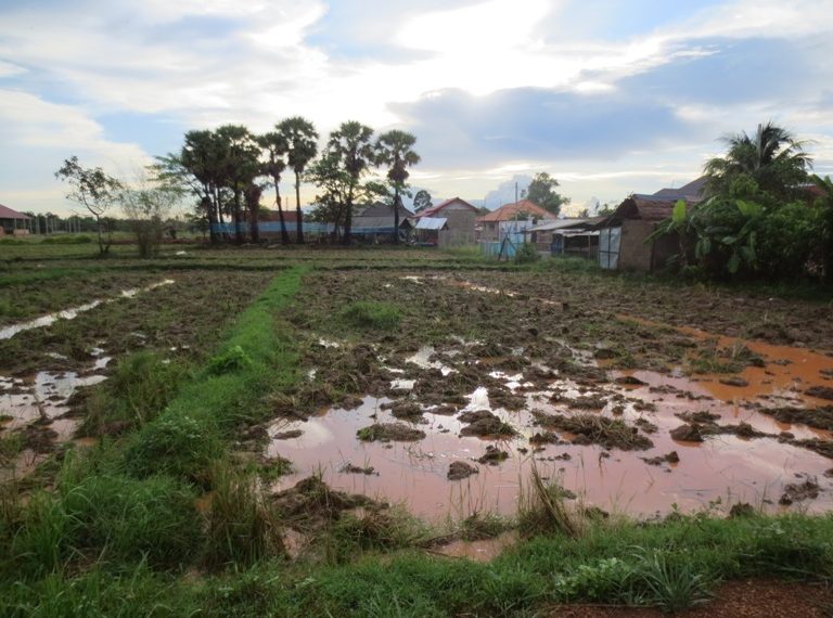 Land for Sale (4)
