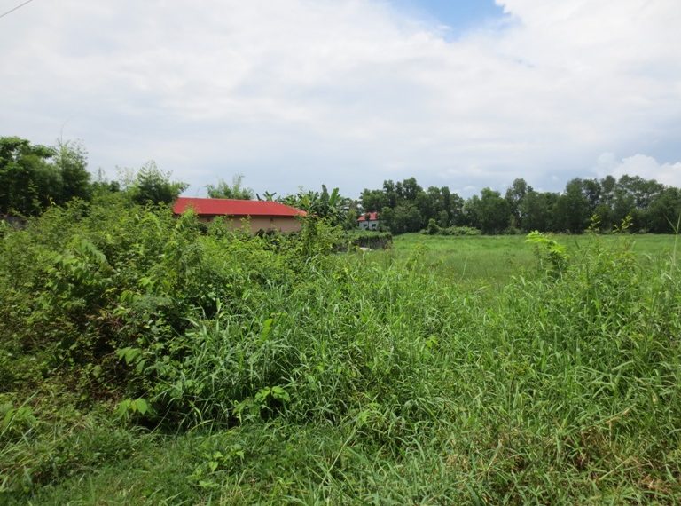 Land for Sale (4)