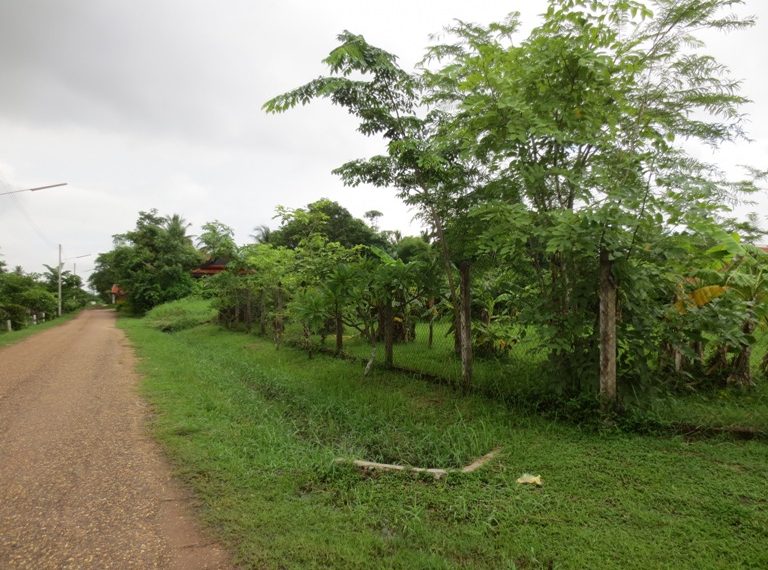 Land for Sale (4)