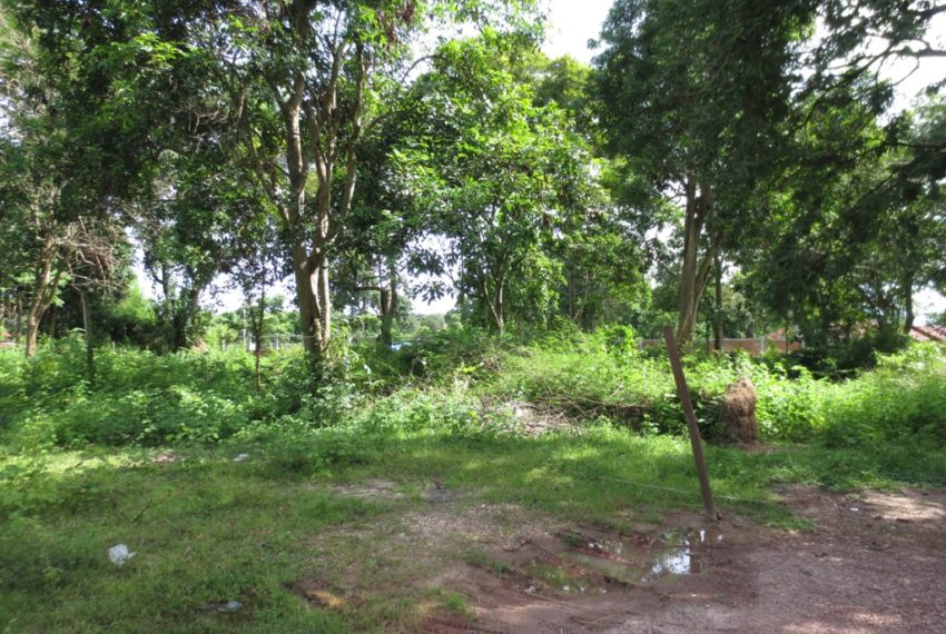 Land for Sale (4)