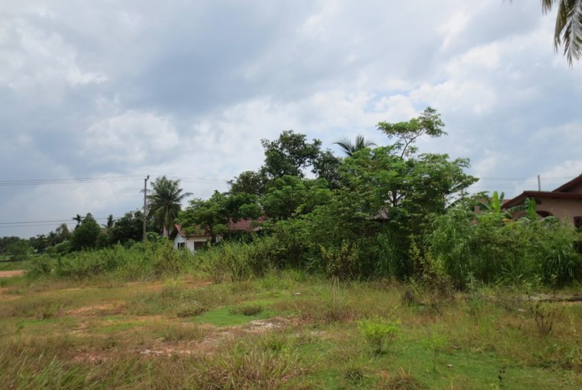 Land for Sale (5)