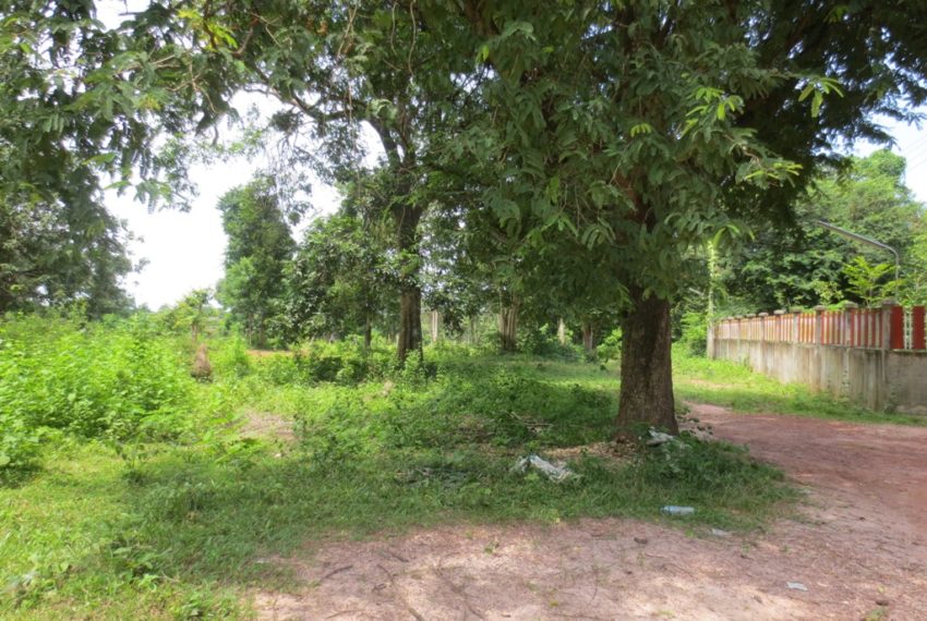 Land for Sale (5)