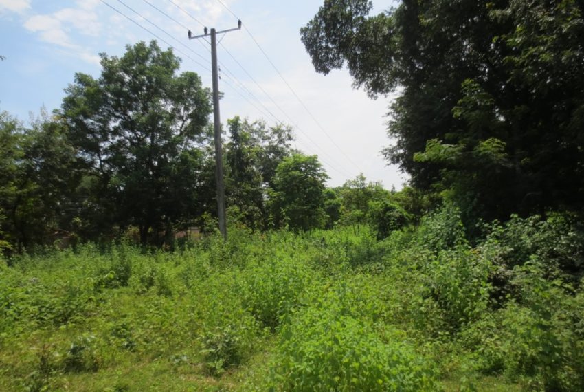 Land for Sale (5)