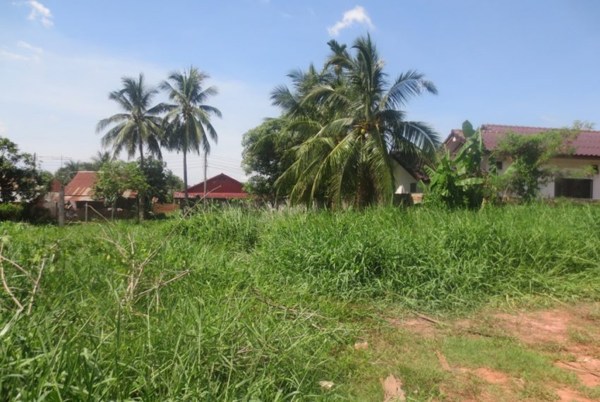 Land for Sale (5)