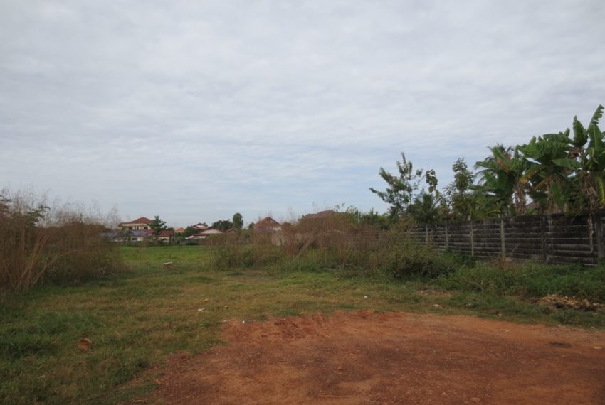 Land for Sale (5)