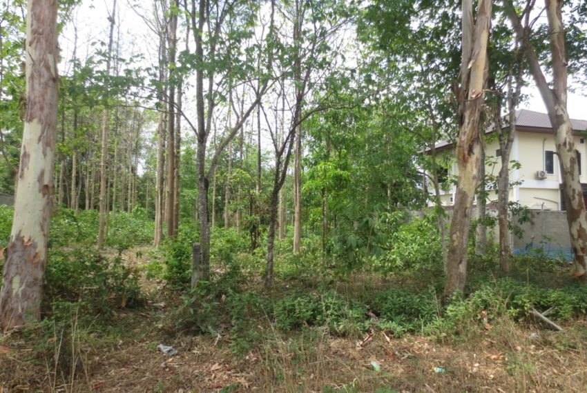 Land for Sale (5)