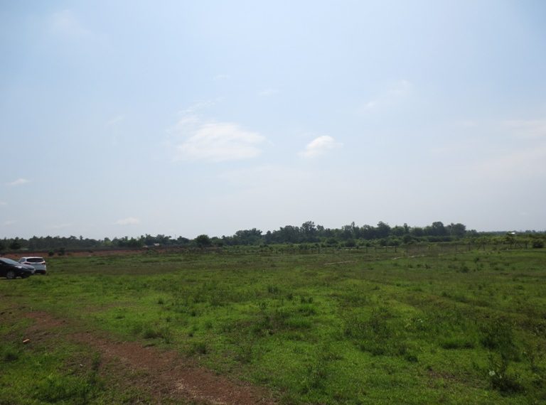 Land for Sale  (5)