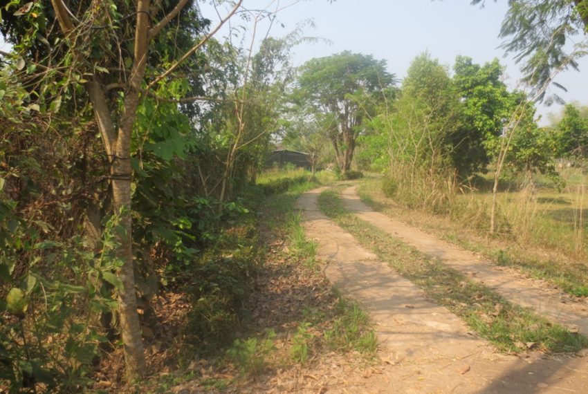 Land for Sale (5)