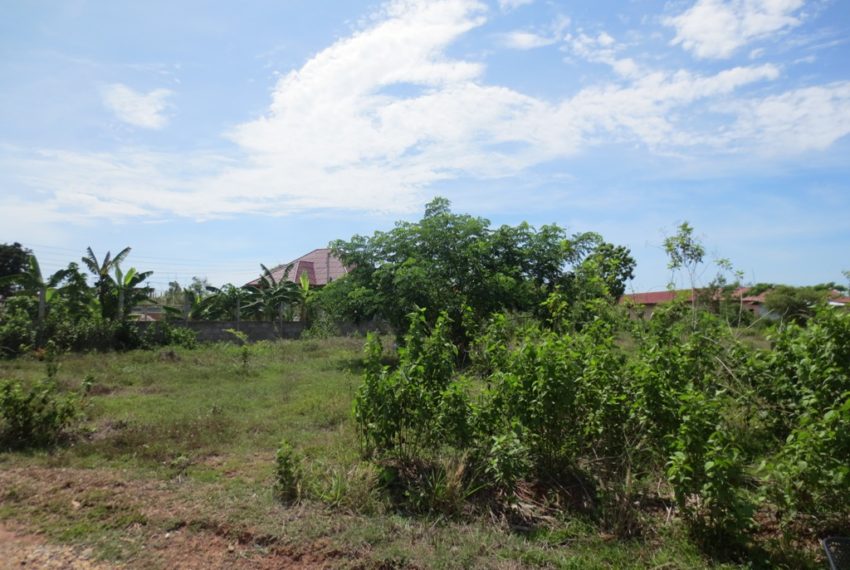 Land for Sale (5)