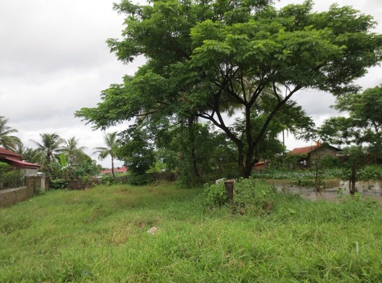 Land for Sale (5)