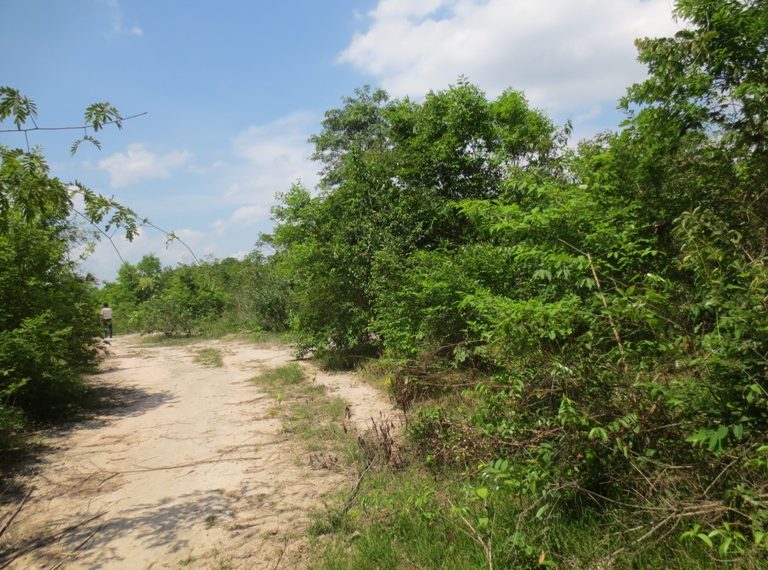 Land for Sale  (5)