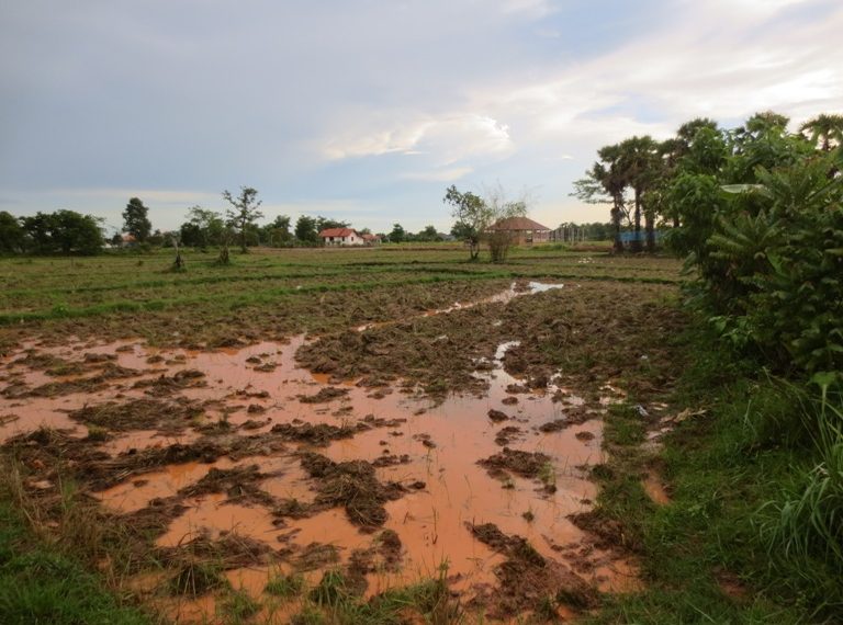 Land for Sale (5)