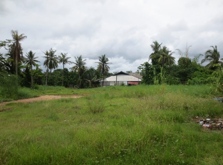 Land for Sale (5)