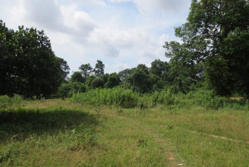 Land for Sale (5)