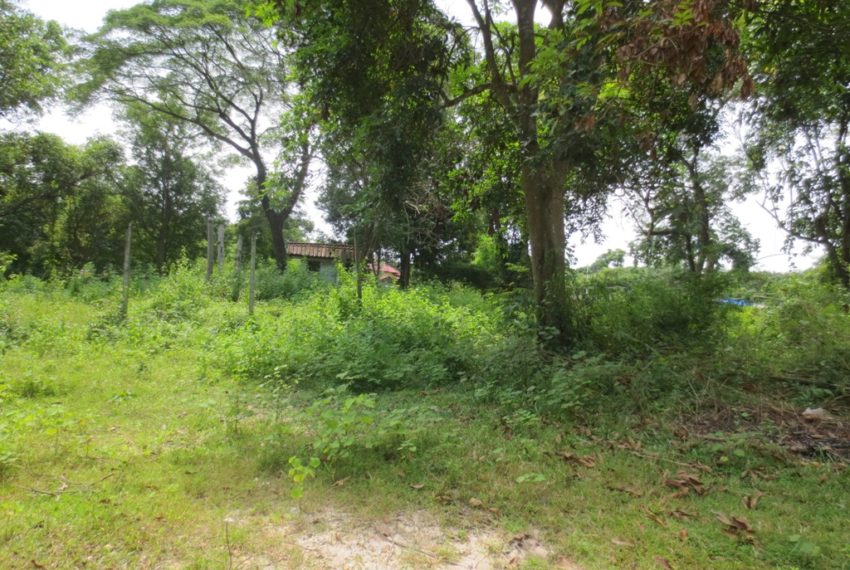 Land for Sale (6)