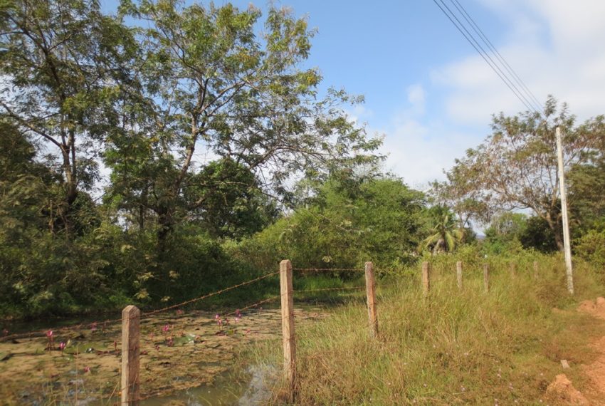 Land for Sale (6)