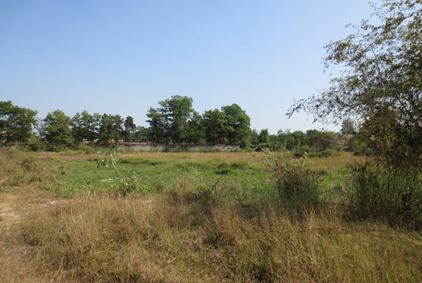 Land for Sale (6)