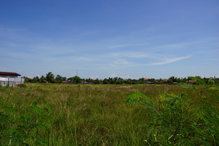 Land for Sale (6)