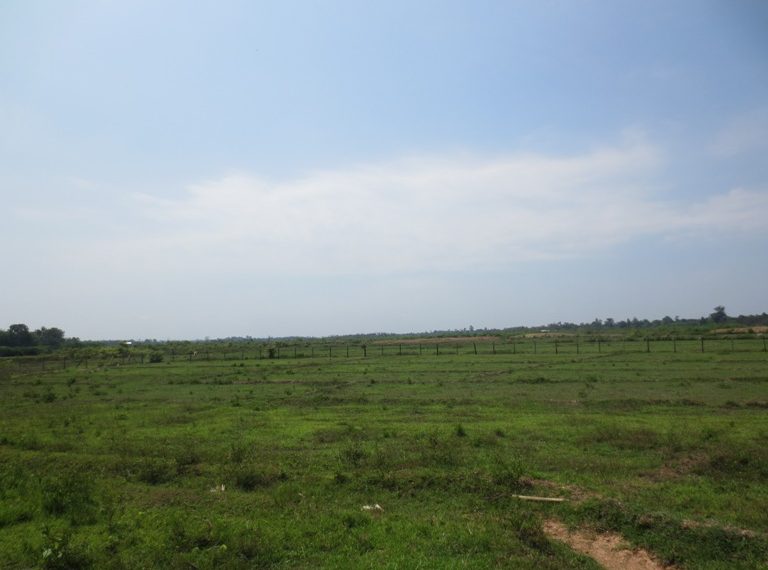 Land for Sale  (6)