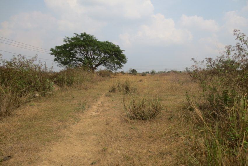 Land for Sale (6)