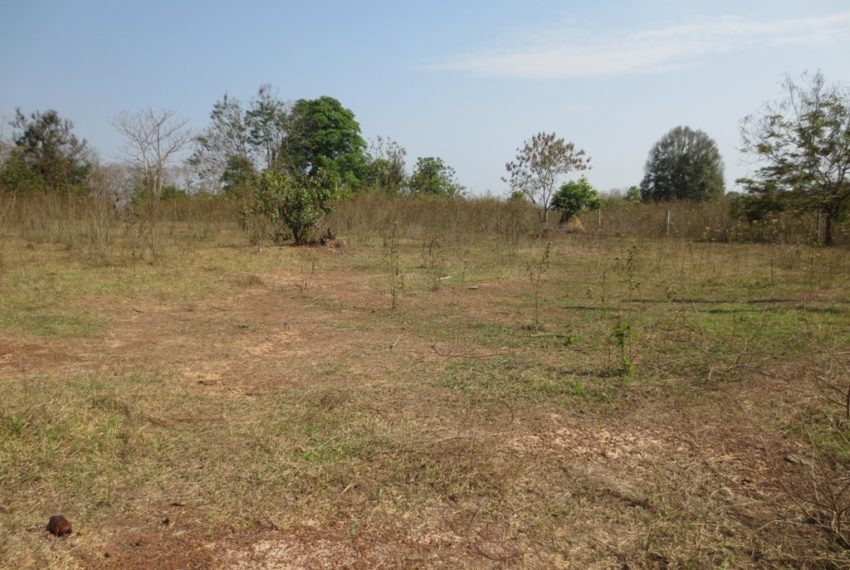 Land for Sale (6)