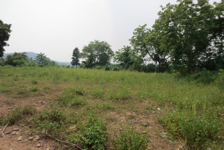 Land for Sale (6)
