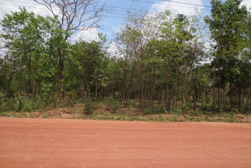 Land for Sale (6)