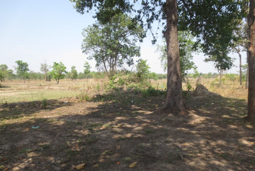 Land for Sale (6)