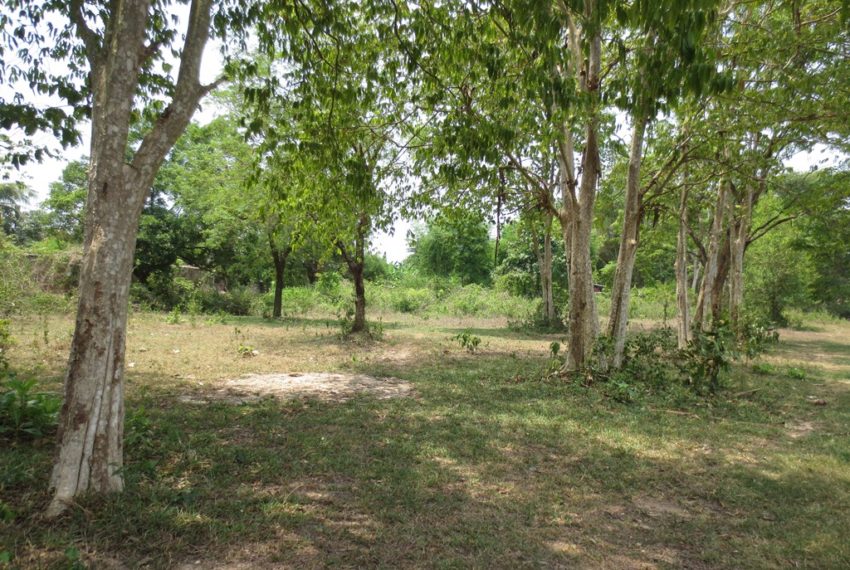 Land for Sale (6)