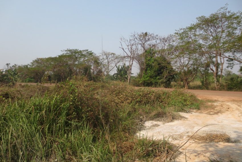 Land for Sale (6)