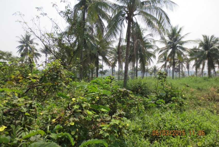 Land for Sale (6)