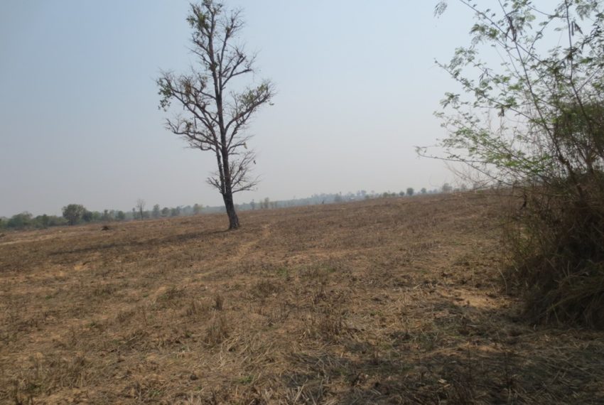 Land for Sale (6)