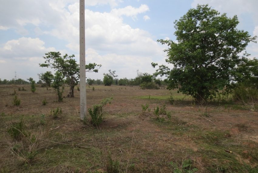 Land for Sale (6)
