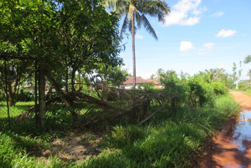Land for Sale (6)