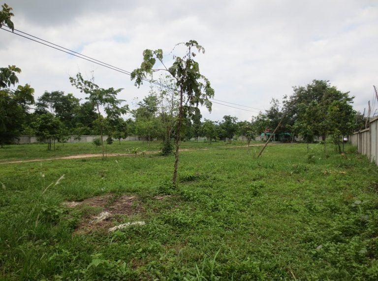 Land for Sale (6)