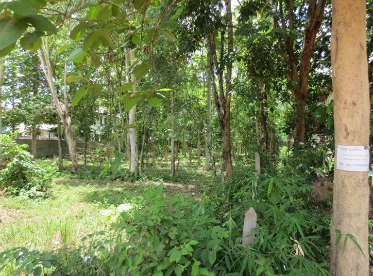 Land for Sale  (6)