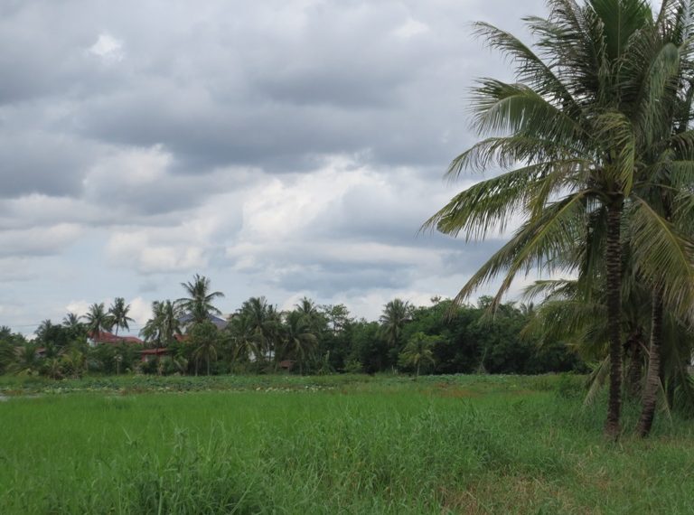 Land for Sale (6)