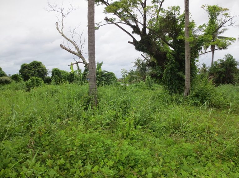 Land for Sale (6)