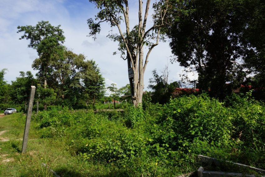 Land for Sale (6)