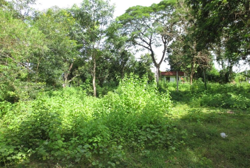 Land for Sale (6)