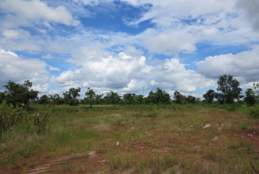 Land for Sale (6)