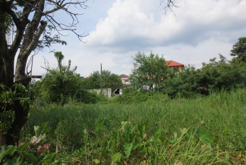 Land for Sale (6)