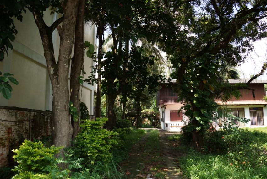 Land for Sale (6)